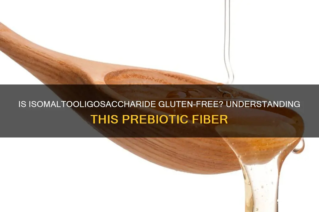 is isomaltooligosaccharide gluten free