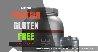 Is Isopure Protein Gluten-Free? A Clear Answer for Your Diet