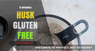 Is Ispaghula Husk Gluten-Free? A Comprehensive Guide for Dietary Needs