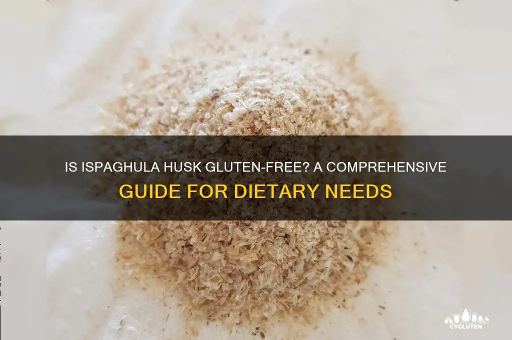 is ispaghula husk gluten free
