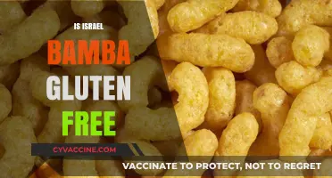 Is Israel Bamba Gluten-Free? Unraveling the Snack's Ingredients