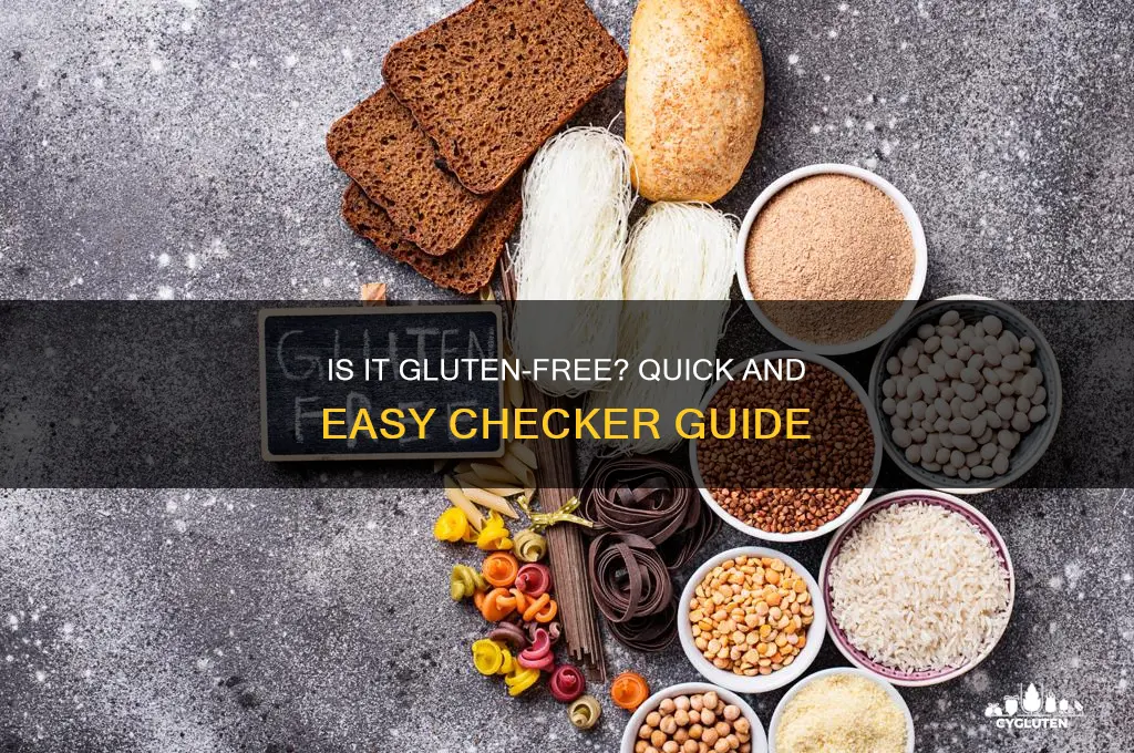 is it gluten free checker