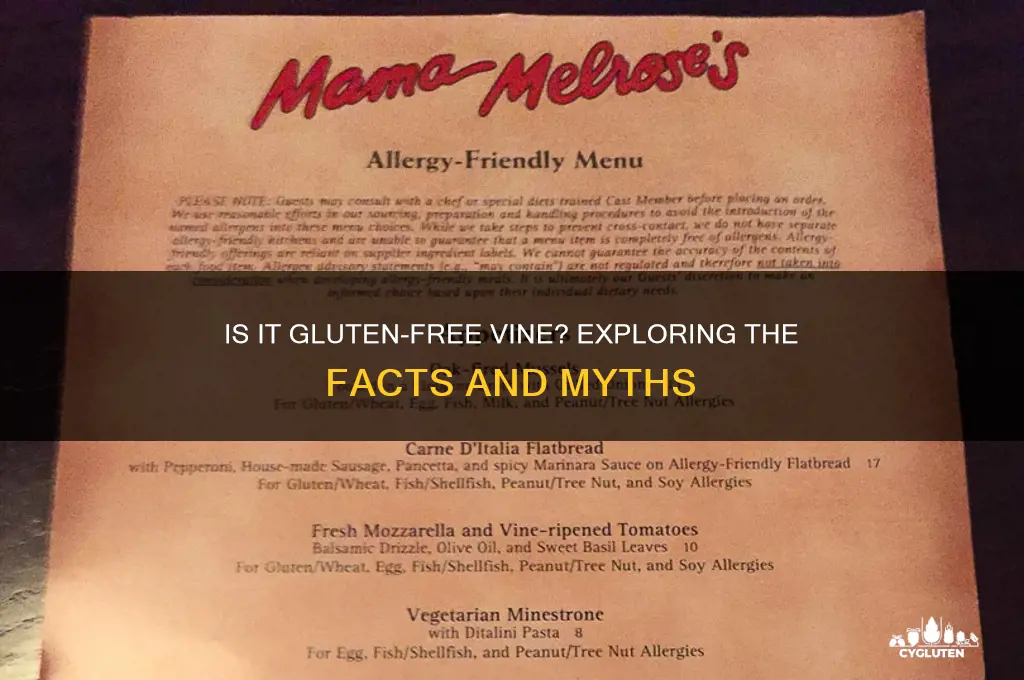 is it gluten free vine