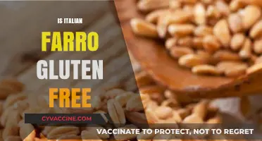 Is Italian Farro Gluten-Free? Unraveling the Grain's Gluten Mystery