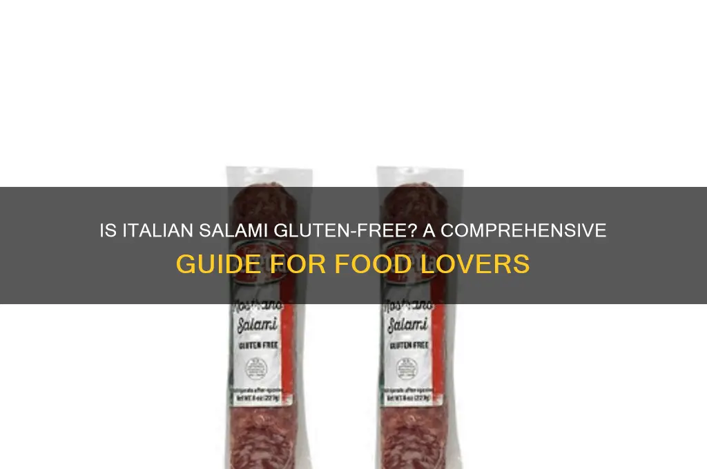 is italian salami gluten free