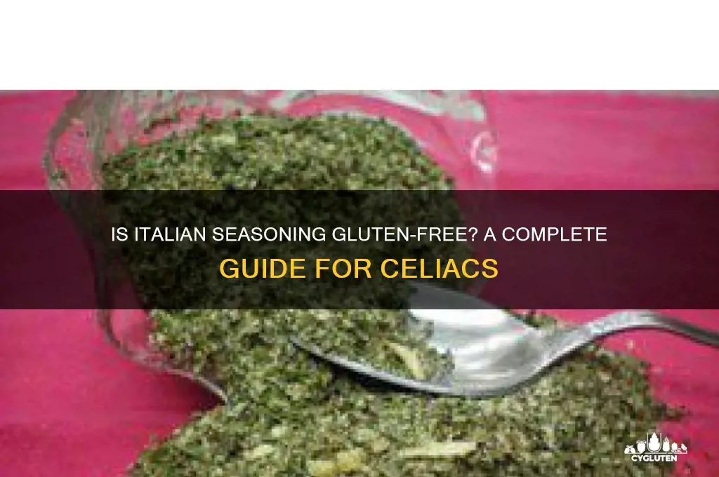 is italian seasoning gluten free