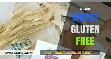 Is Italian Wheat Gluten-Free? Unraveling the Facts for Celiac Diets