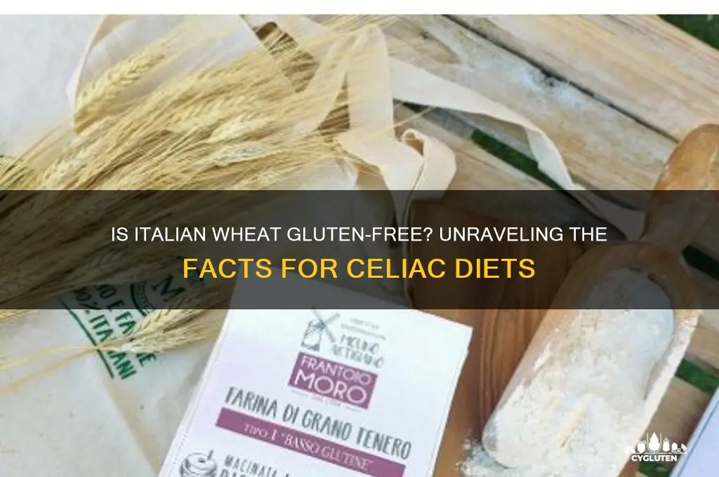 is italian wheat gluten free