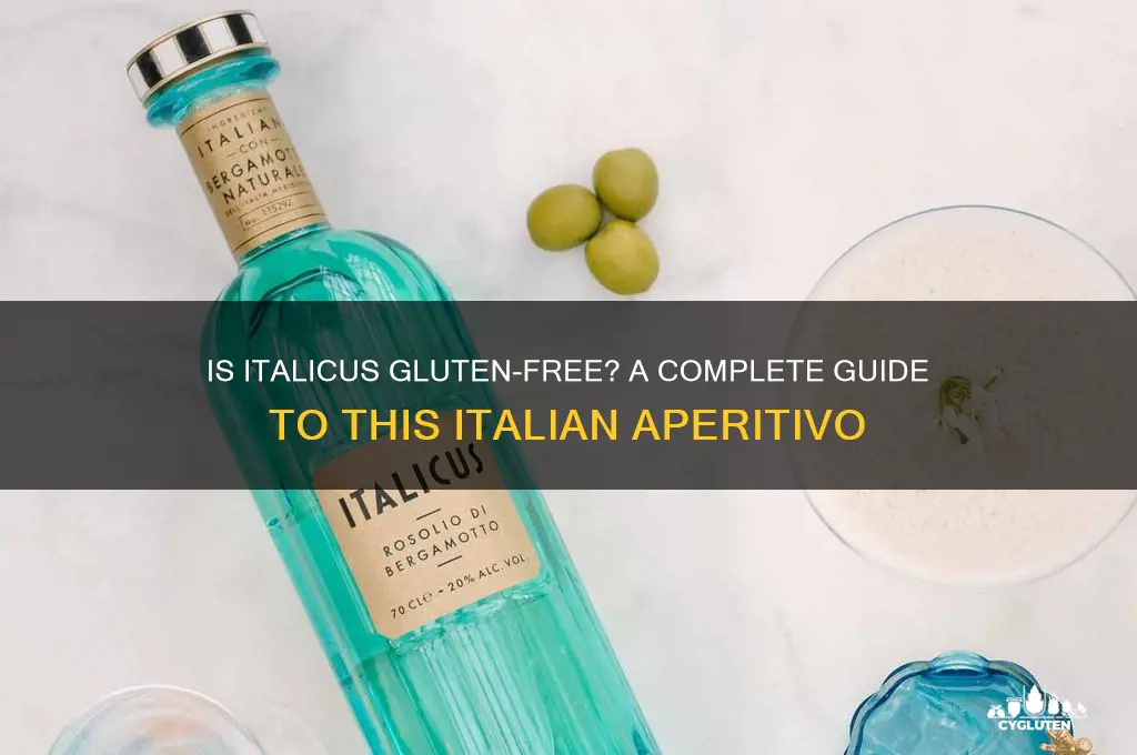 is italicus gluten free