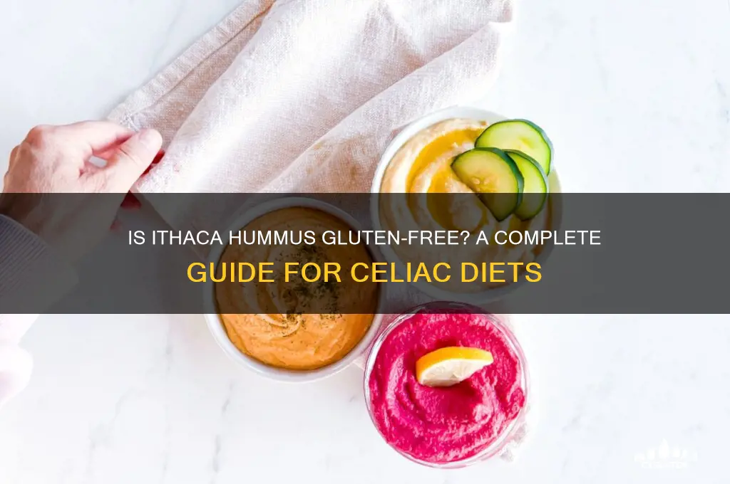 is ithaca hummus gluten free