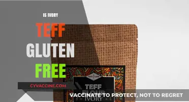 Is Ivory Teff Gluten-Free? Uncovering the Truth for Celiac Diets