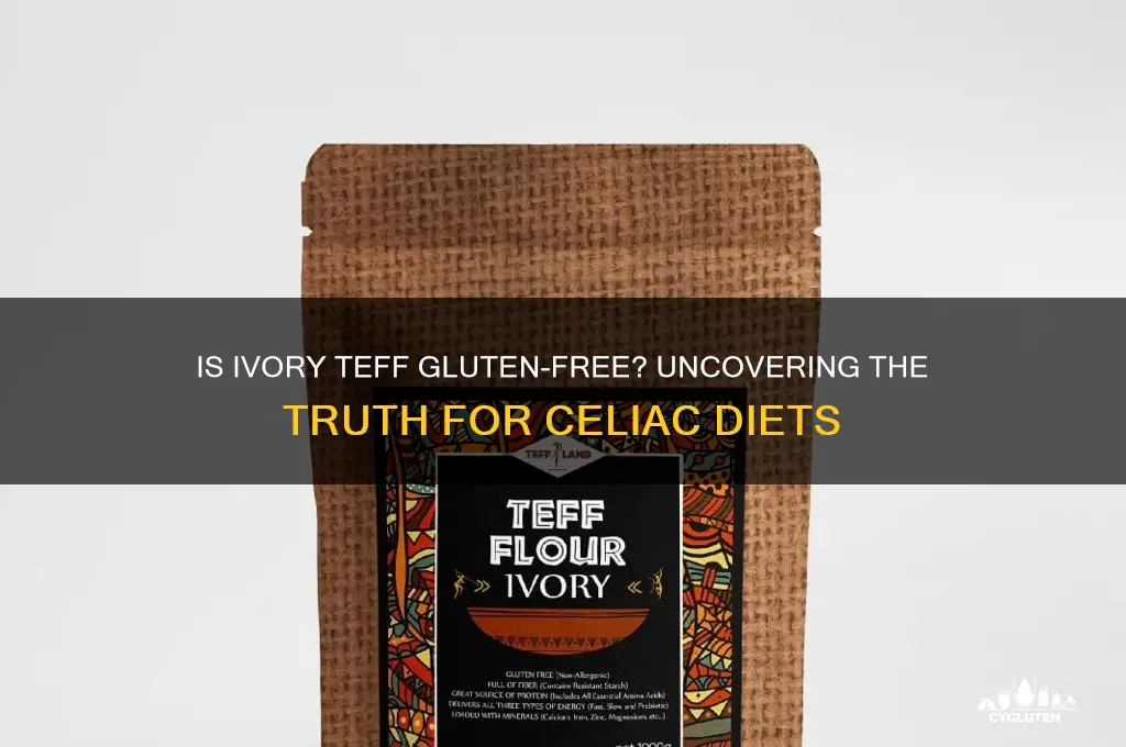 is ivory teff gluten free