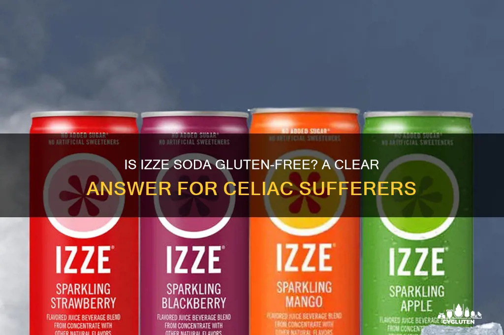 is izze soda gluten free