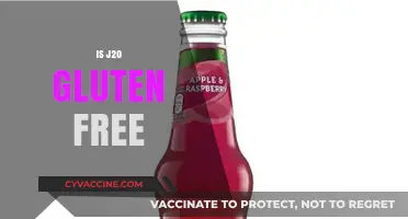 Is J20 Gluten-Free? Unraveling the Ingredients for Celiac Safety
