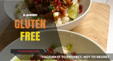 Is Jackfruit Gluten-Free? A Comprehensive Guide to This Tropical Fruit