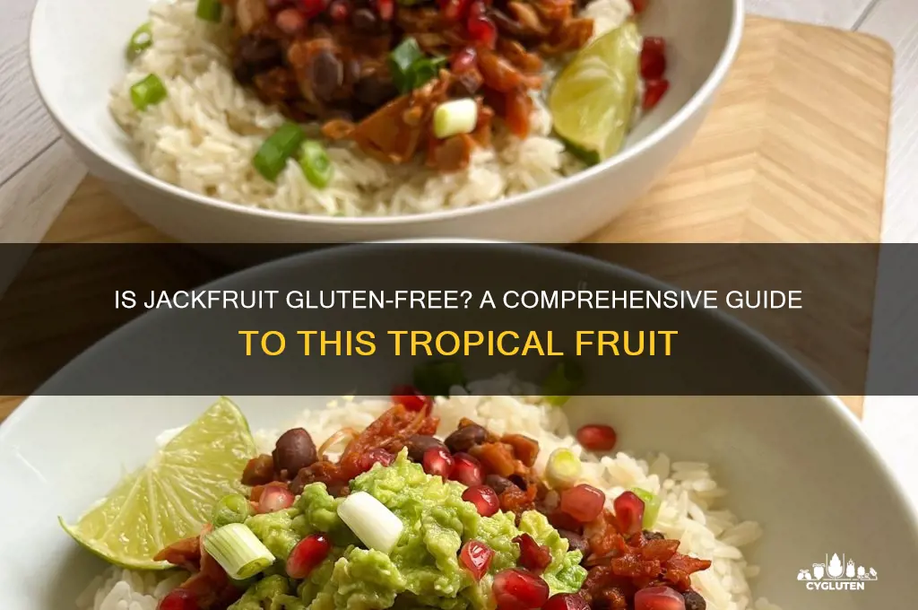 is jackfruit gluten free