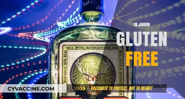 Is Jägermeister Gluten-Free? A Complete Guide for Drinkers