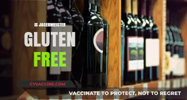 Is Jägermeister Gluten-Free? Uncovering the Truth for Celiac Drinkers