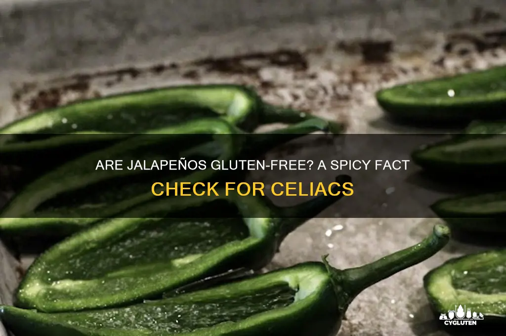 is jalapeno gluten free