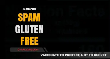 Is Jalapeño Spam Gluten-Free? A Complete Guide to Ingredients