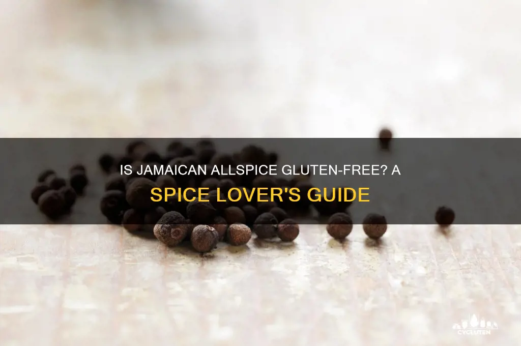 is jamaican allspice gluten free