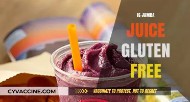 Is Jamba Juice Gluten-Free? A Complete Guide to Safe Options