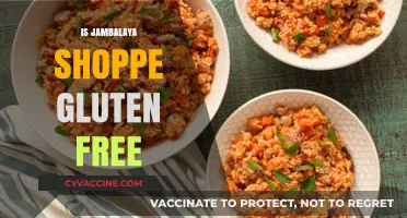 Is Jambalaya Shoppe Gluten-Free? A Complete Guide for Diners
