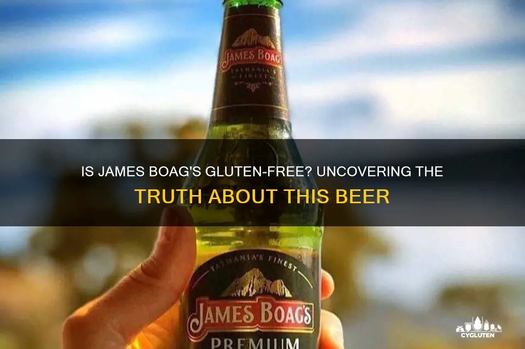 is james boags gluten free
