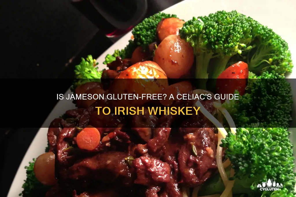 is jameson gluten free celiac