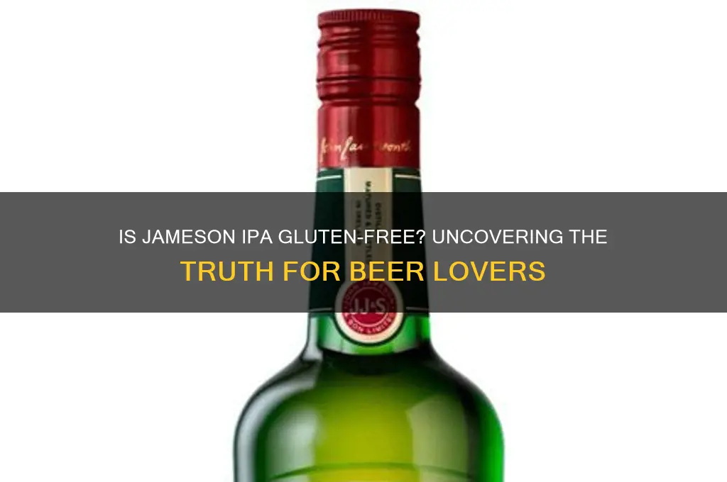 is jameson ipa gluten free