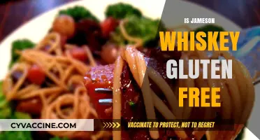 Is Jameson Whiskey Gluten-Free? A Guide for Celiac Drinkers