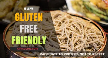 Exploring Japan: A Gluten-Free Traveler's Guide to Safe Dining