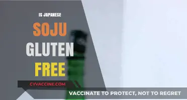 Is Japanese Soju Gluten-Free? A Clear Answer for Drinkers