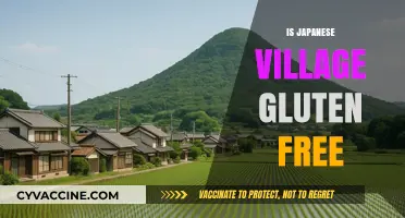 Exploring Japanese Village: Gluten-Free Options and Menu Insights
