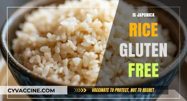 Is Japonica Rice Gluten-Free? A Complete Guide for Celiacs