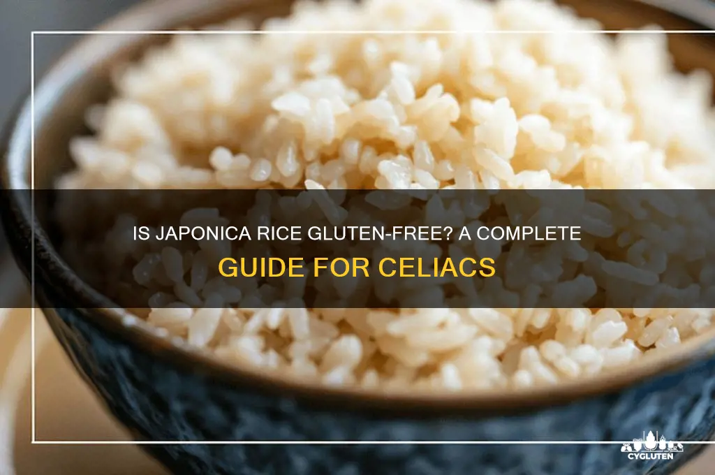 is japonica rice gluten free
