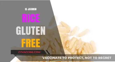 Is Jasmine Rice Gluten-Free? A Clear Answer for Your Diet