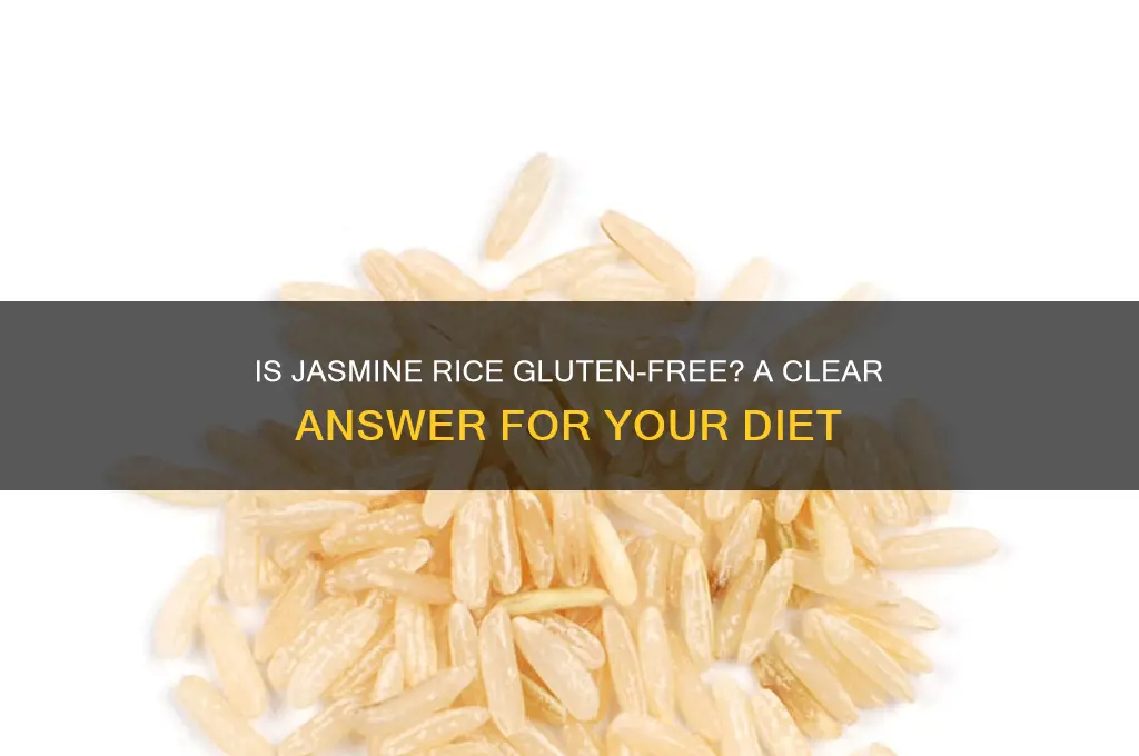 is jasmin rice gluten free
