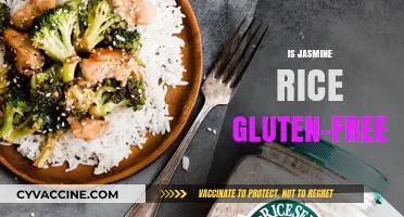 Is Jasmine Rice Gluten-Free? A Clear Answer for Celiac Diets
