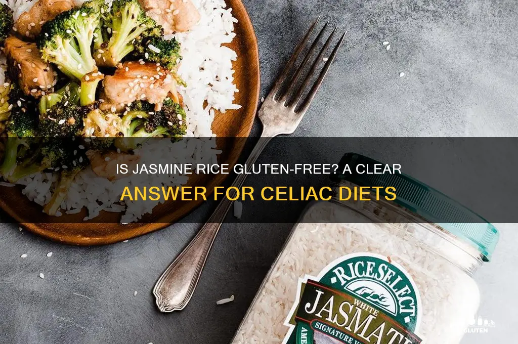 is jasmine rice gluten-free