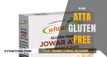 Is Jau Atta Gluten-Free? Unveiling the Truth for a Healthy Diet