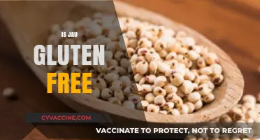 Is Jowar Gluten-Free? Exploring the Benefits of This Ancient Grain