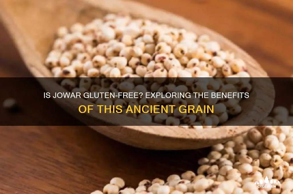 is jau gluten free