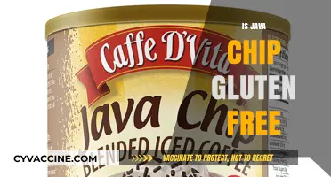 Is Java Chip Gluten-Free? A Starbucks Lover's Guide