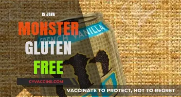 Is Java Monster Gluten-Free? Uncovering the Truth for Celiac Drinkers