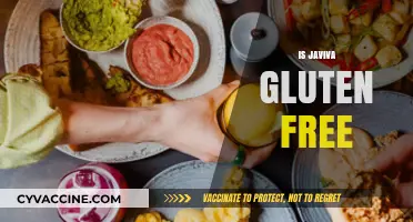 Is Javiva Gluten-Free? Uncovering the Truth for Your Diet