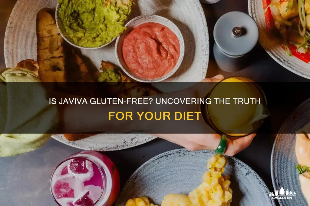 is javiva gluten free