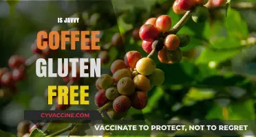 Is Javvy Coffee Gluten-Free? A Comprehensive Guide for Coffee Lovers