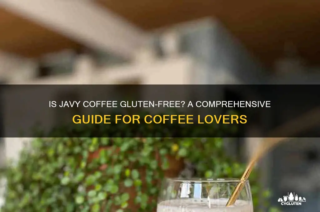 is javy coffee gluten free