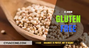 Is Jowar Gluten-Free? Exploring This Ancient Grain's Benefits